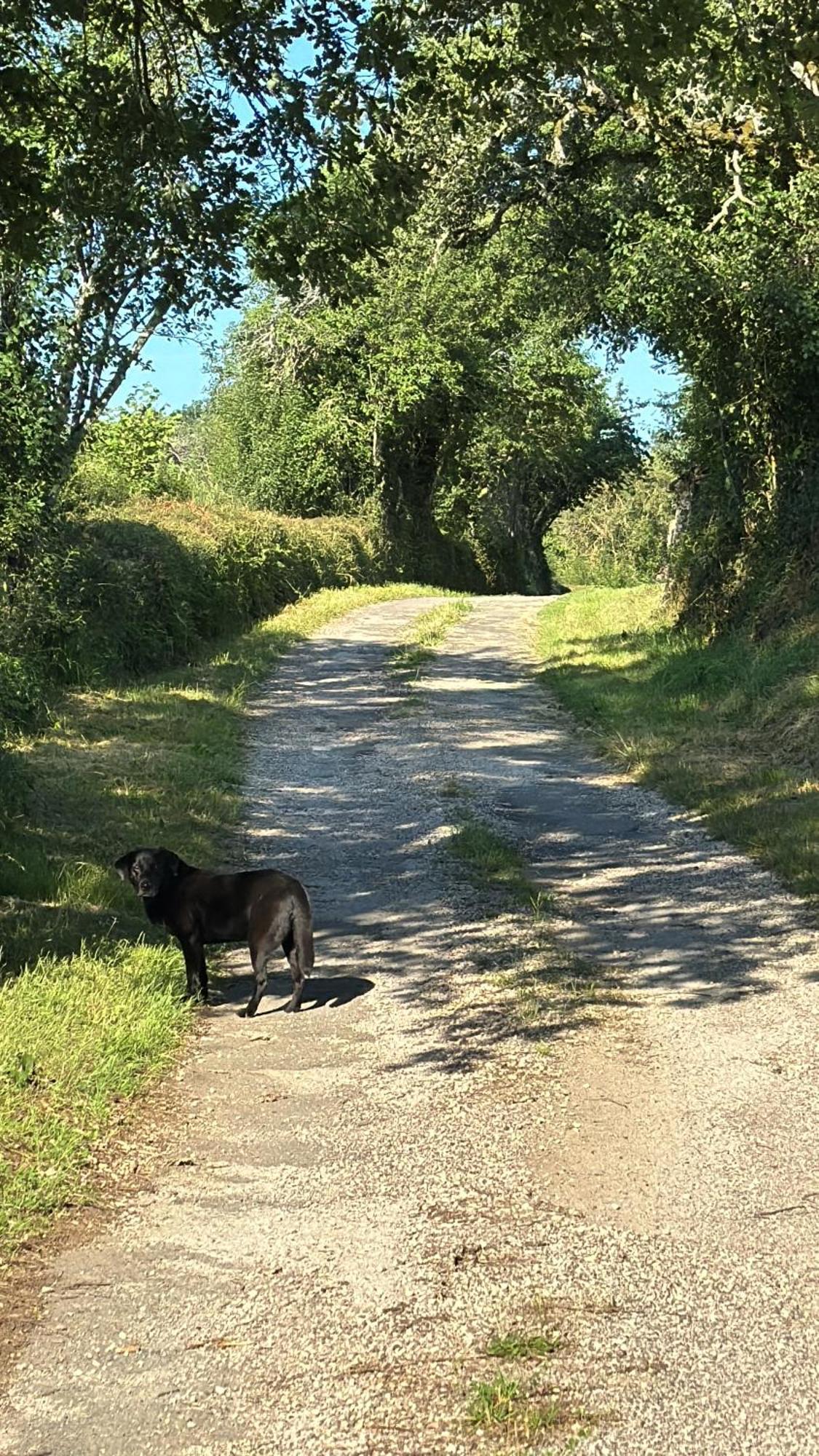 Petit Loulet Hébergement de vacances *